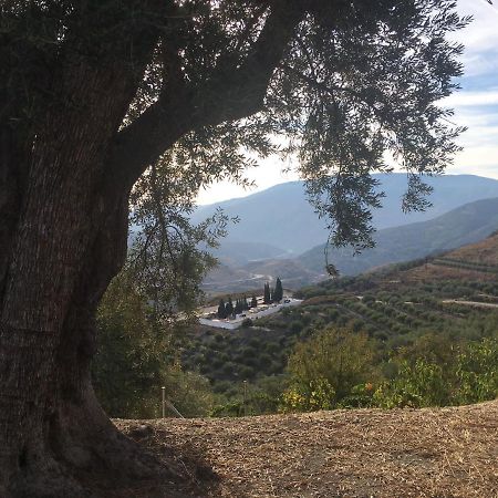Jardin Andaluz Appart Alhambra Pinos del Valle Εξωτερικό φωτογραφία