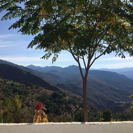 Jardin Andaluz Appart Alhambra Pinos del Valle Εξωτερικό φωτογραφία