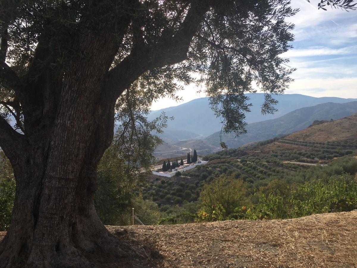 Jardin Andaluz Appart Alhambra Pinos del Valle Εξωτερικό φωτογραφία