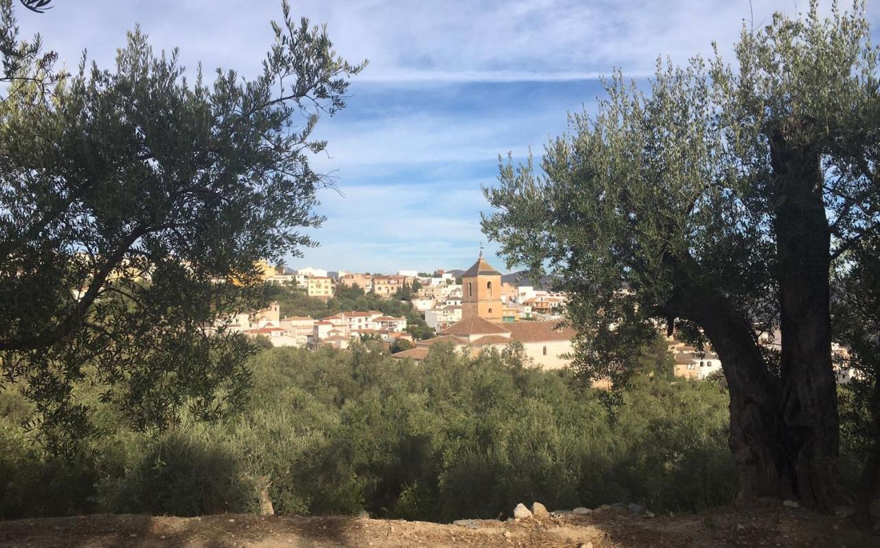 Jardin Andaluz Appart Alhambra Pinos del Valle Εξωτερικό φωτογραφία