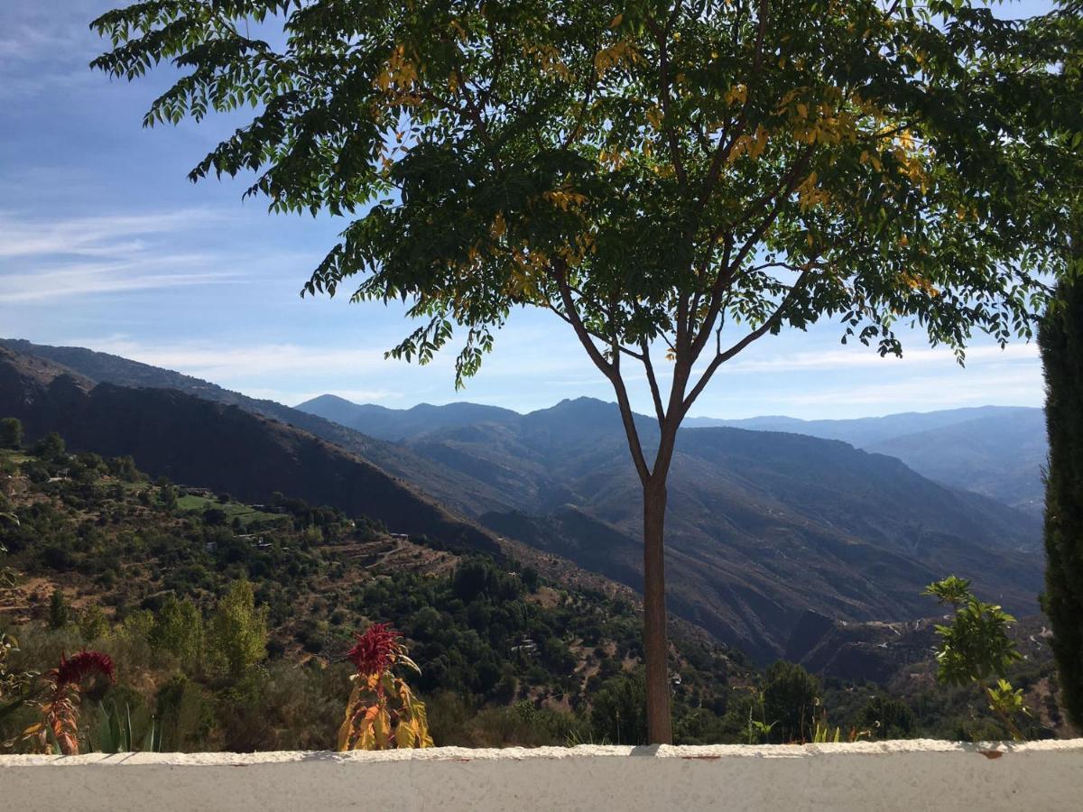 Jardin Andaluz Appart Alhambra Pinos del Valle Εξωτερικό φωτογραφία